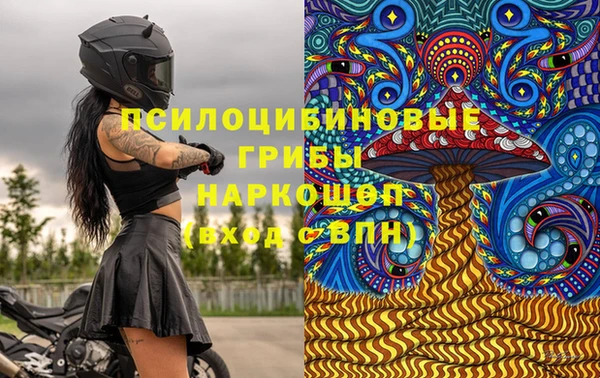 бошки Ростов
