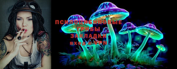 МДПВ Мурманск