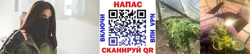 наркотики  ссылка на мегу ONION  Конопля Ganja  Бежецк 
